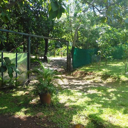 Hotel Cabinas Jojola Guanacaste Exterior foto